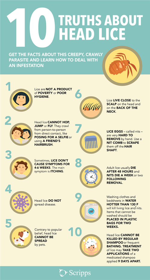  10 Truths About Head Lice 
